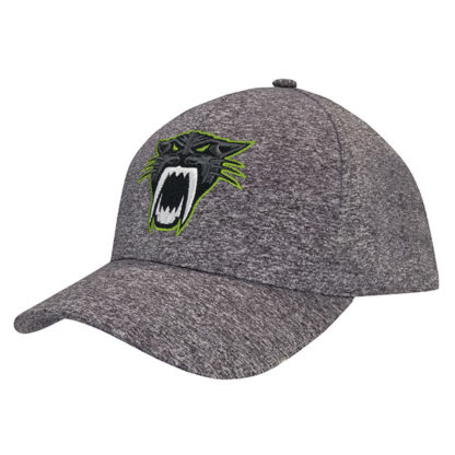 6 Panel Low Profile Baseball Cap