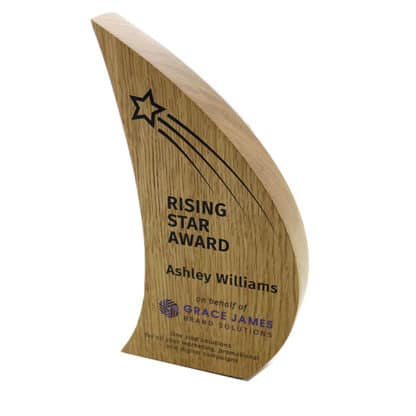 Real Wood Block Award - Image 2