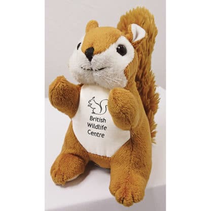 Animal Soft Toy - Image 2
