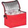 Tonbridge 6 Can Cooler - Image 2