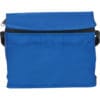 Tonbridge 6 Can Cooler - Image 9