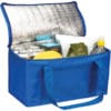 Tonbridge 12 Can Cooler - Image 2