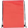 Insulated Cooler Gym Bag - Image 15