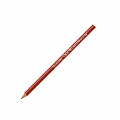 BIC Evolution Ecolutions Pencil - Image 4