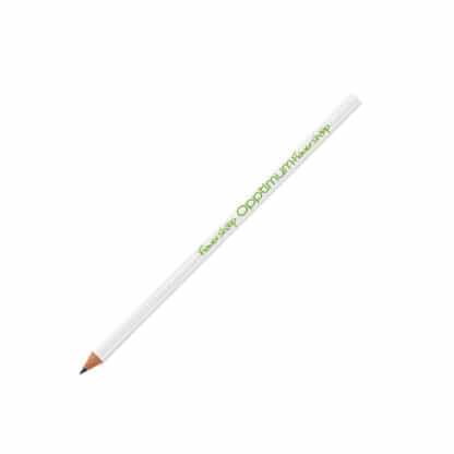 BIC Evolution Ecolutions Pencil - Image 5