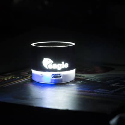 Viancos Drum Speaker - Image 3