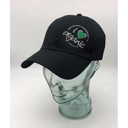 6 Panel Organic Cotton Cap
