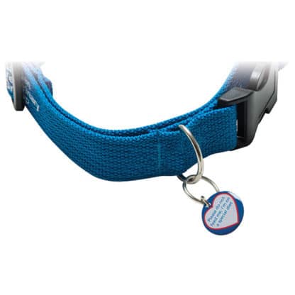 Dog Tag