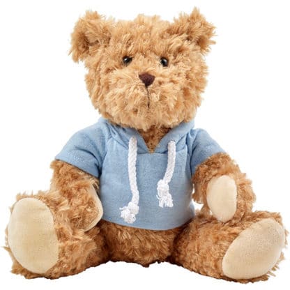Teddy Bear with Hoodie - Image 3