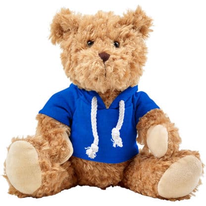 Teddy Bear with Hoodie - Image 2