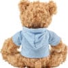 Teddy Bear with Hoodie - Image 4