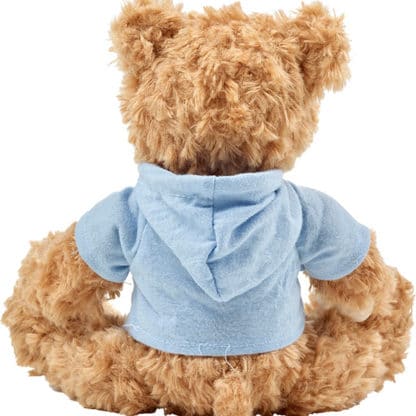 Teddy Bear with Hoodie - Image 4