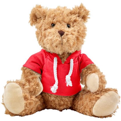 Teddy Bear with Hoodie - Image 10