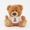 15cm Sitting Bear