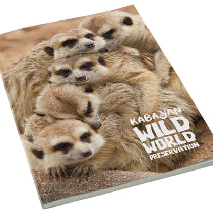 A4 Smart Book