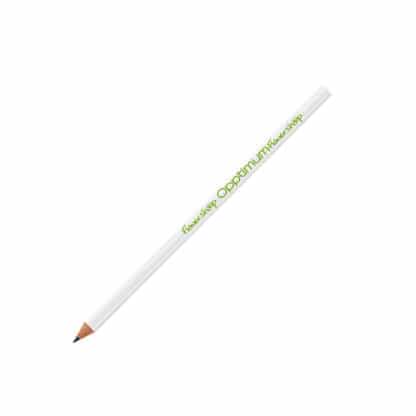 Wood Free Pencil